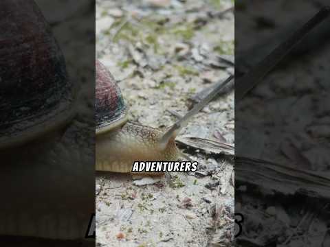 Snail Expert Shares Top Secrets of the TINY WORLD OF WONDERS!